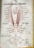 Cosmologie